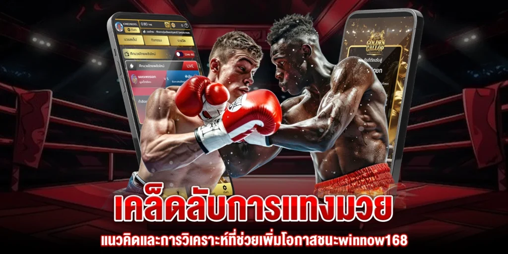 เคล็ดลับการแทงมวย